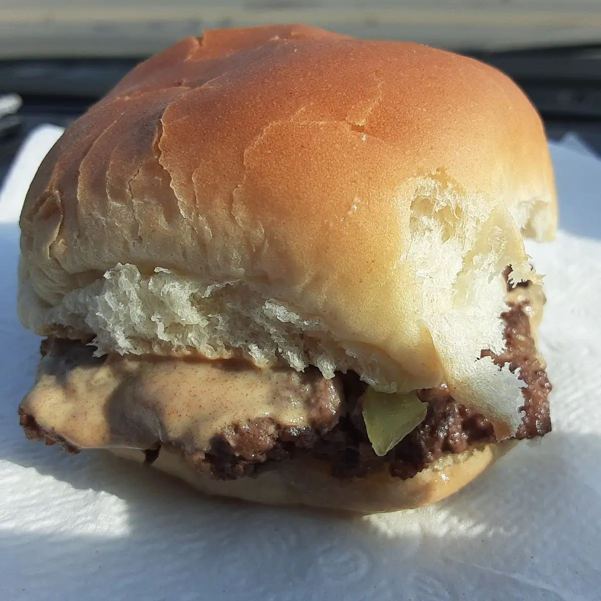 Single Cheese Burger