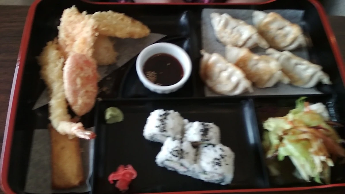 Gyoza Bento
