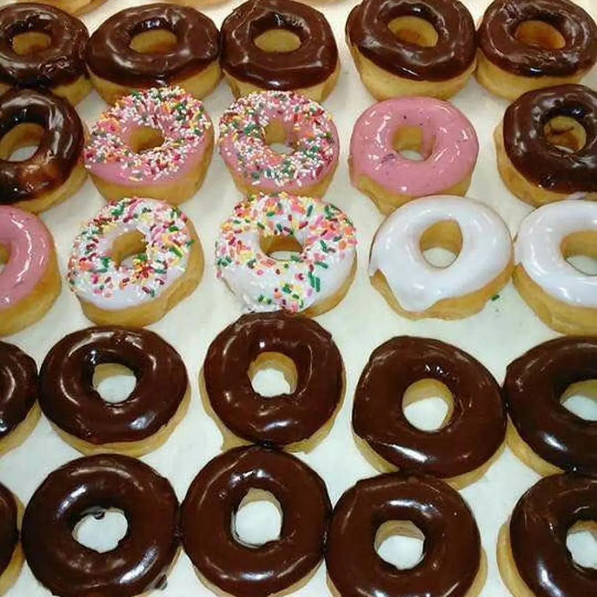 Doughnut