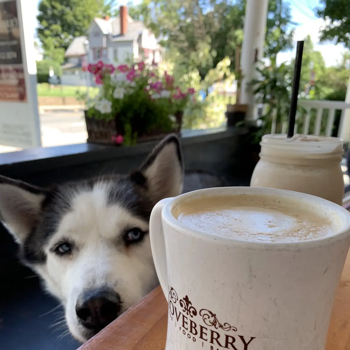 Dirty Chai