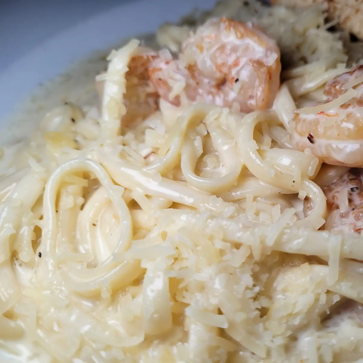 Shrimp Alfredo