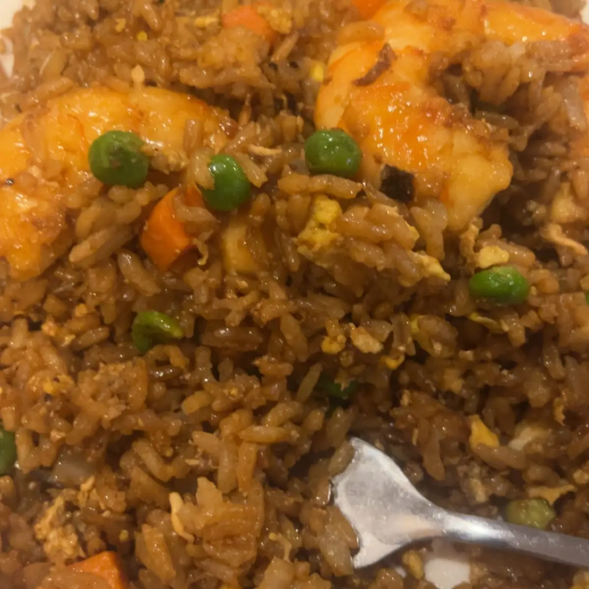 House Special Fried Rice