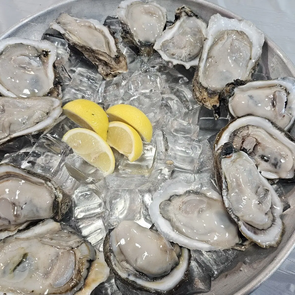Oysters on the Half Shell