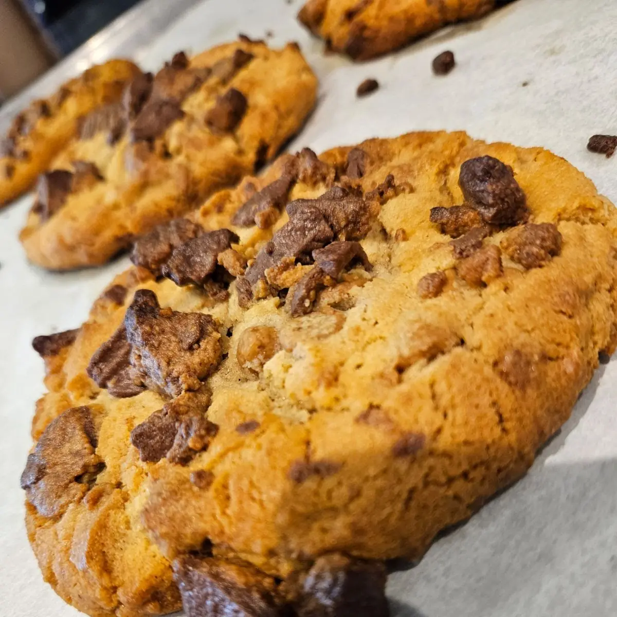 Chocolate Chip