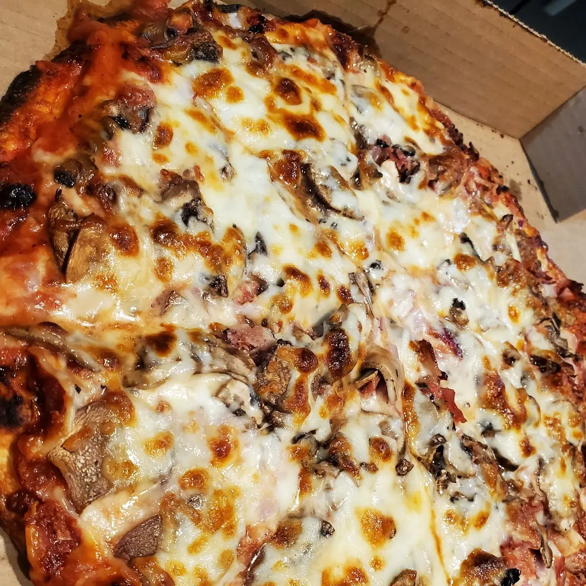 Bacon Extra Cheese Pizza