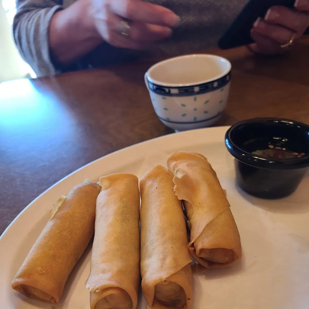 Crispy Spring Rolls