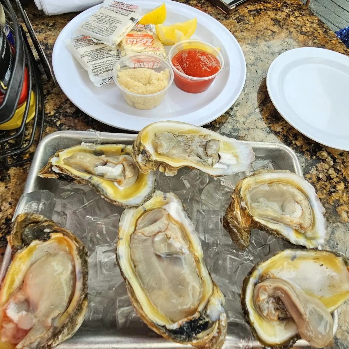 Oysters on the Half Shell
