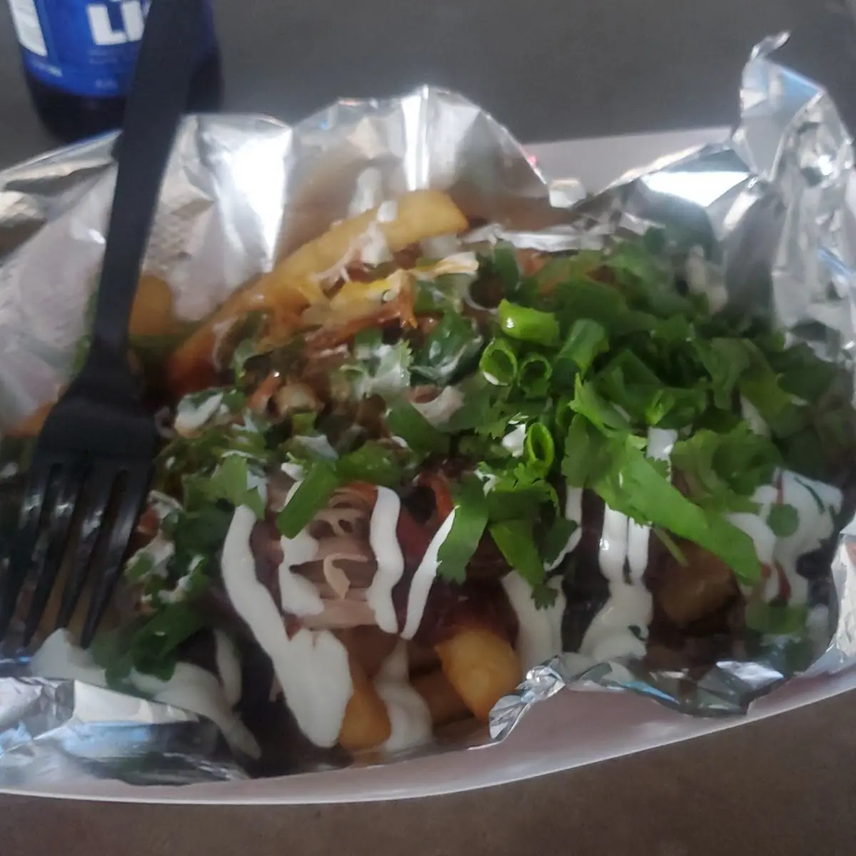 Loaded Fries