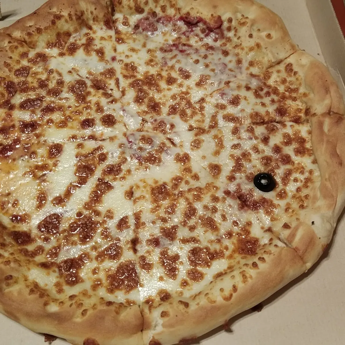 Cheese Pizza Plus Camera