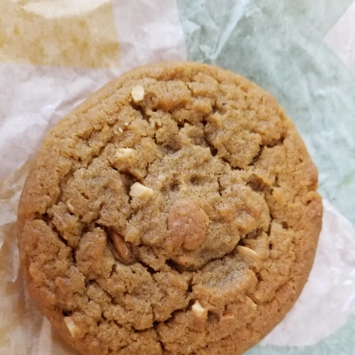 Peanut Butter Cookie