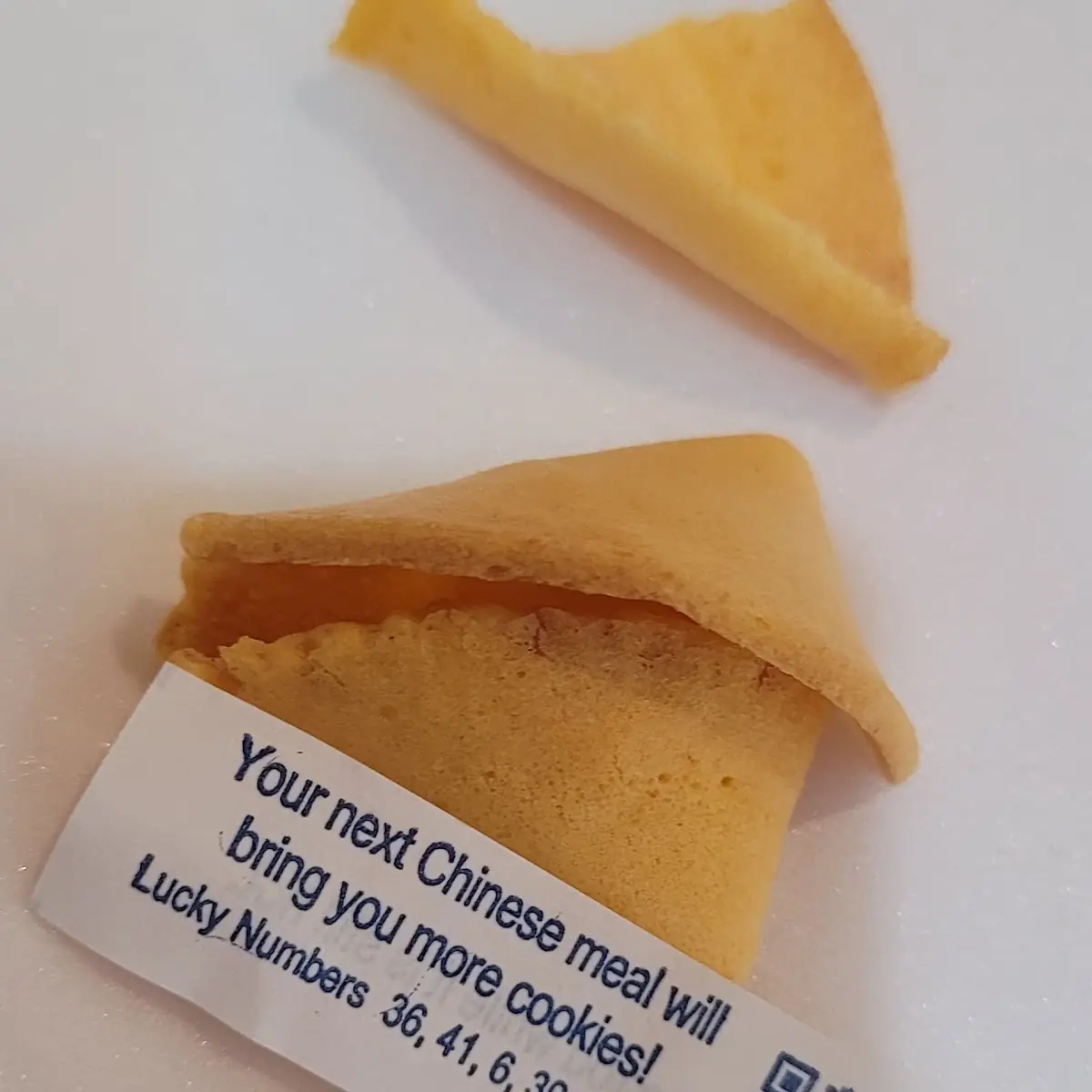 Fortune Cookies 5
