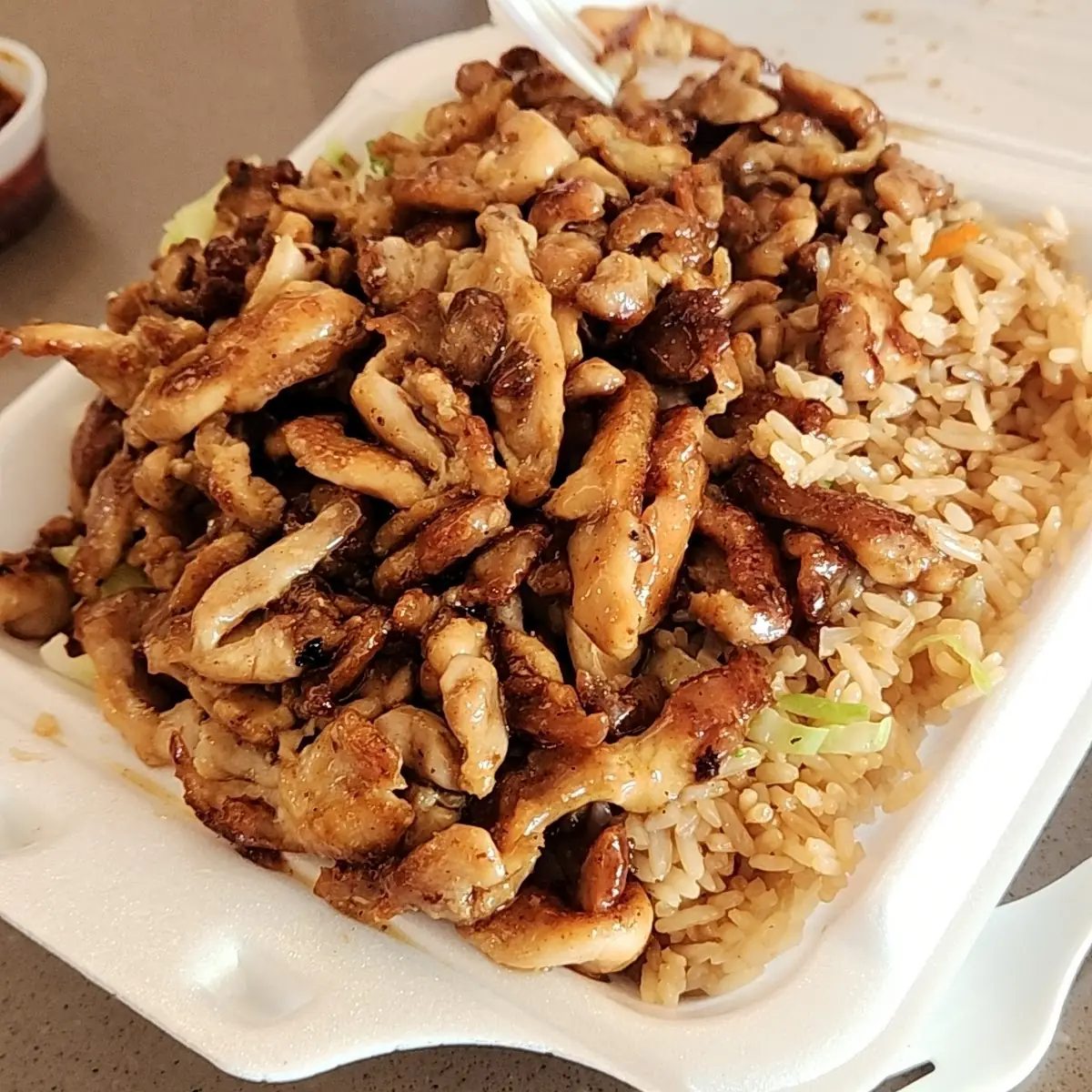 Chicken Teriyaki with Fried Rice