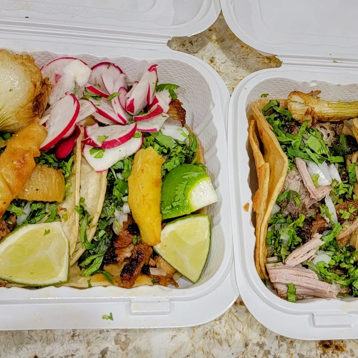 Al Pastor & Carnitas Tacos