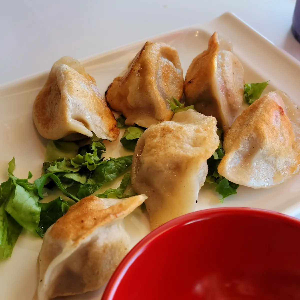 Deep Fried Veg Dumplings