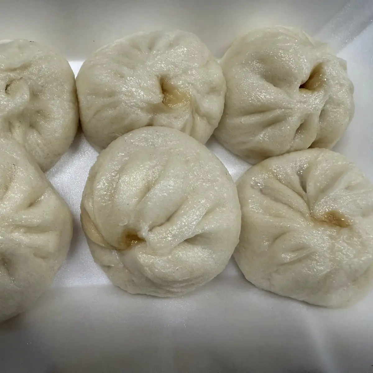 Pan Fried Pork Bun