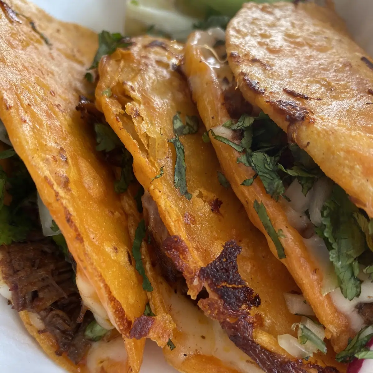 Birria Tacos