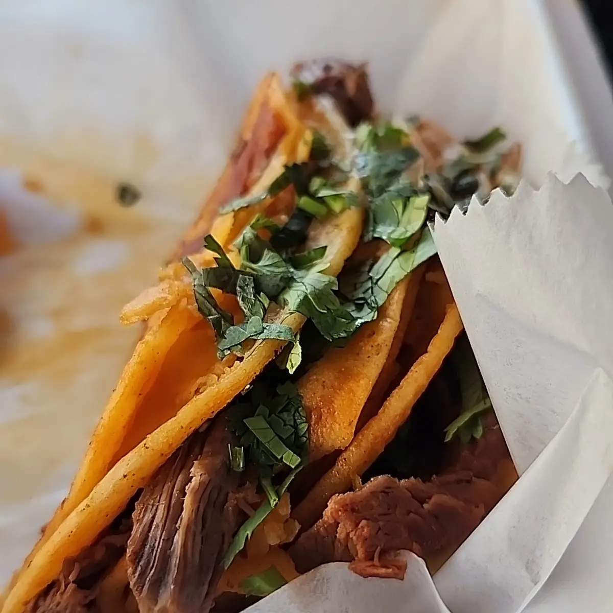 Sweet Potato