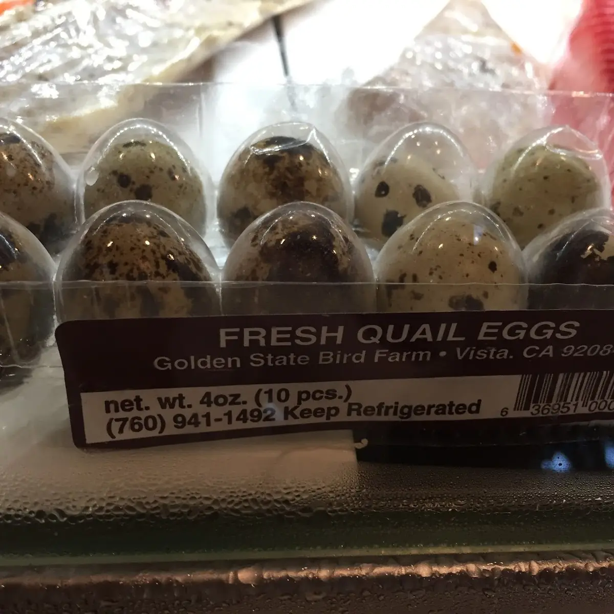 Quail Egg Shooter