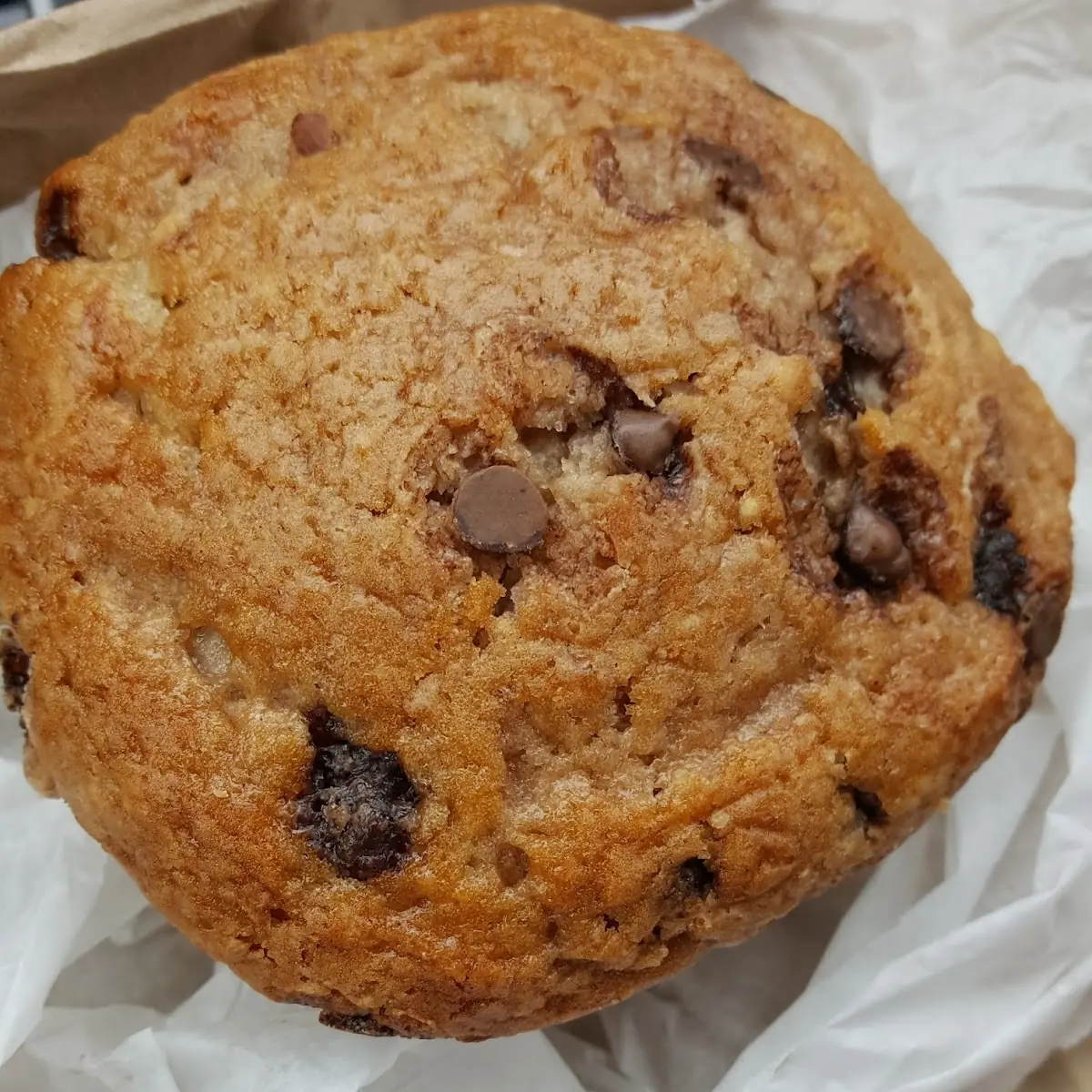 Chocolate Chip Muffin