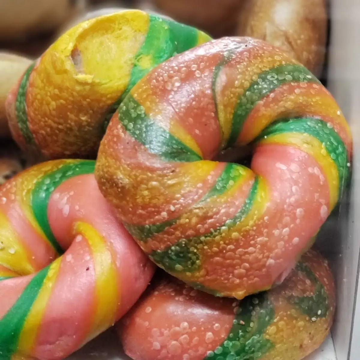 Rainbow Bagel