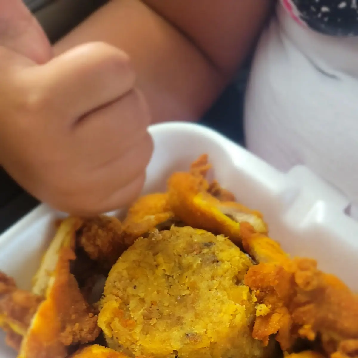 Pollo Frito Con Mofongo