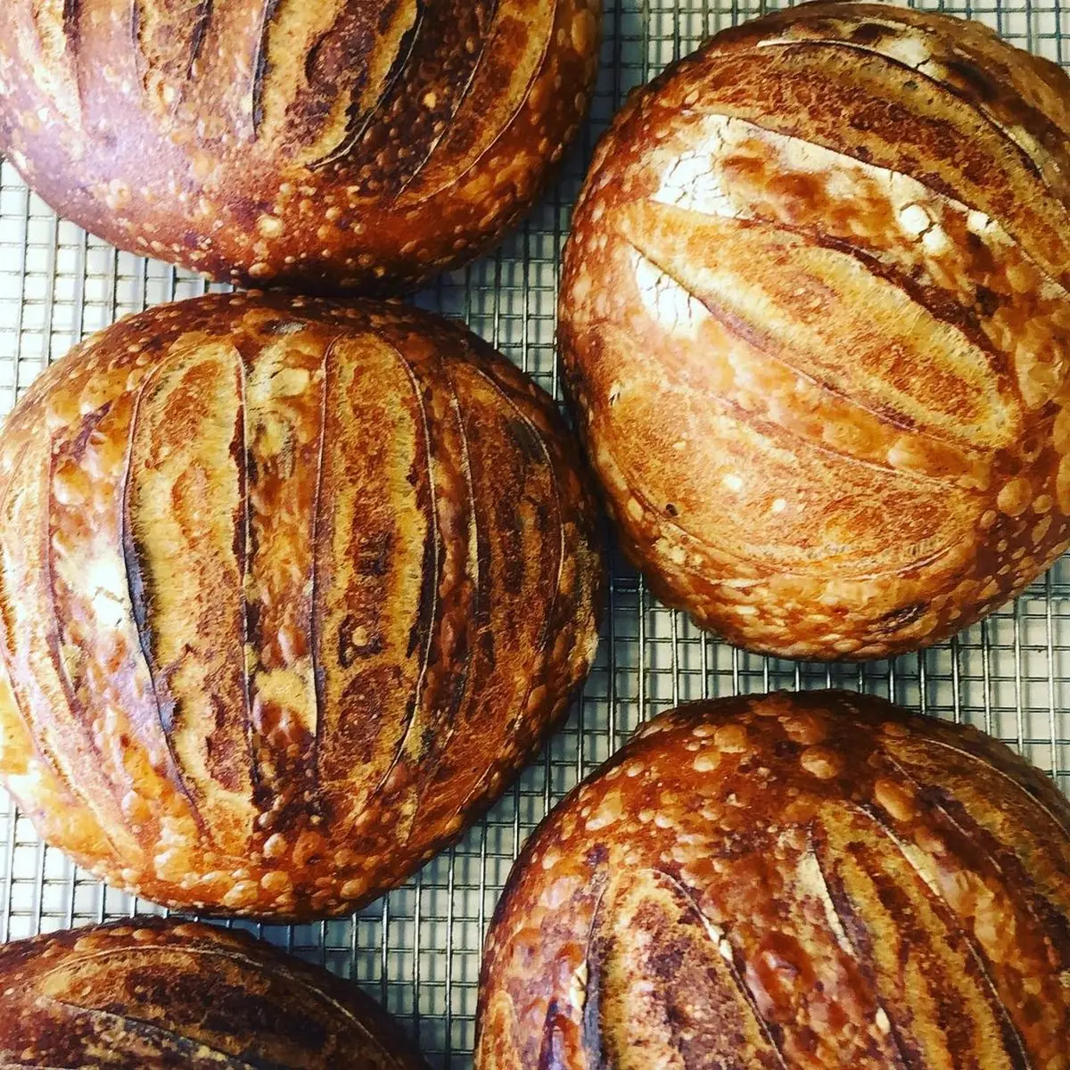 Fresh Baked Sourdough Loaf