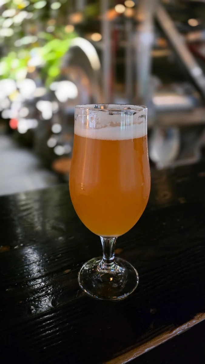 Highlights, Lakehead Beer Company