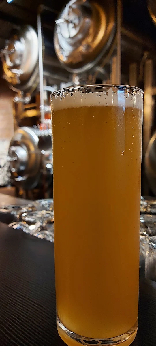Pilsner, Lakehead Beer Company