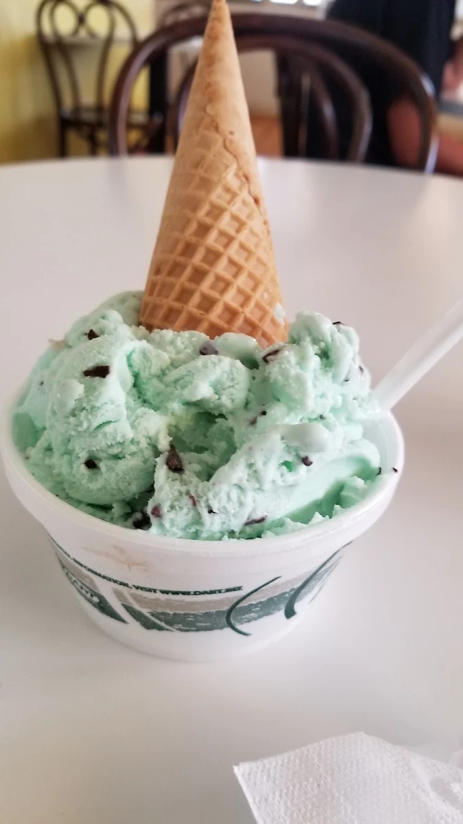 Mint Chocolate Chip Single Dip Could not Finish It
