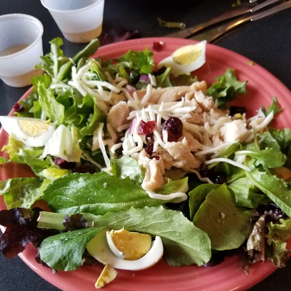 Grilled Chicken Salad