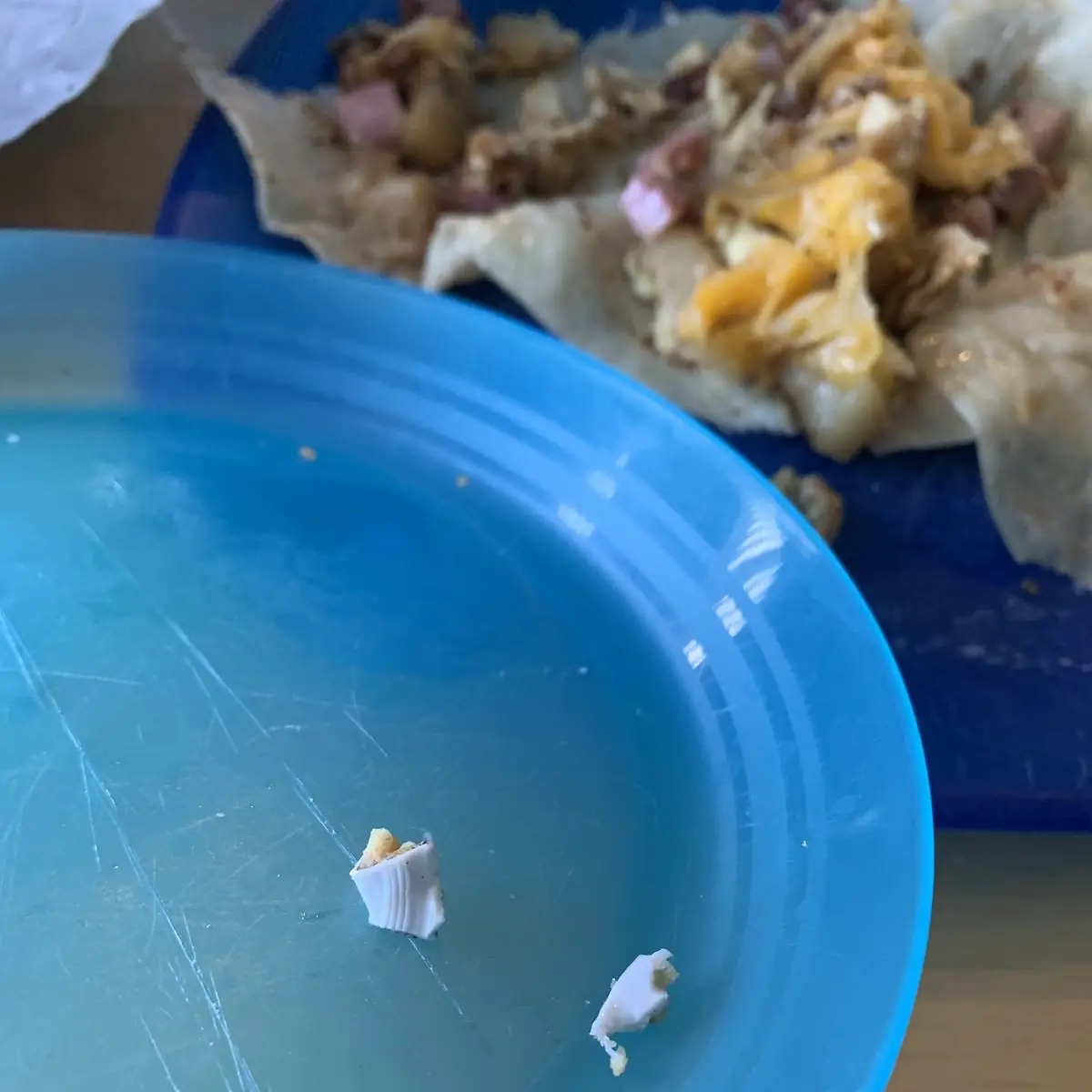 Carne Asada Burrito