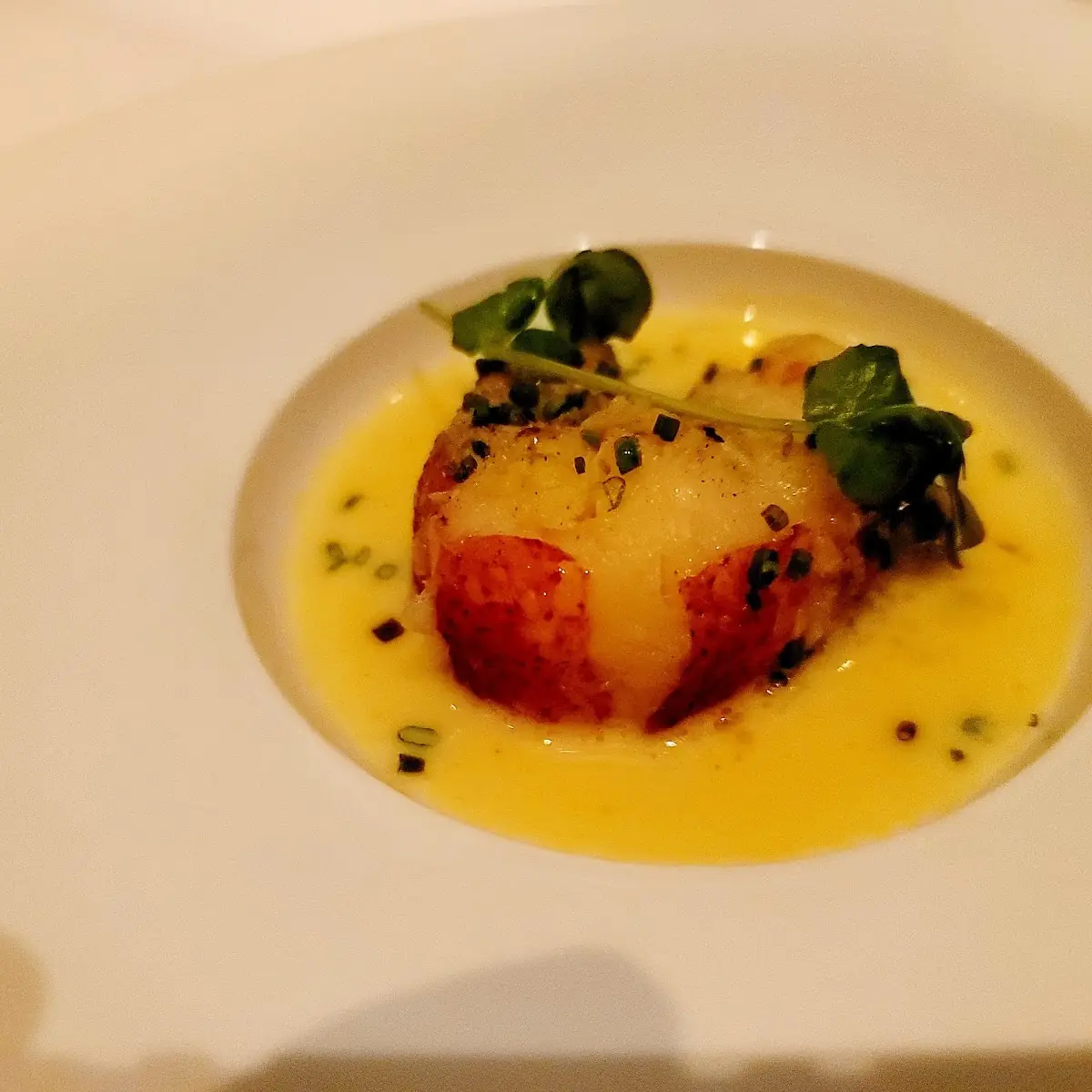Butter Poached Lobster Tail