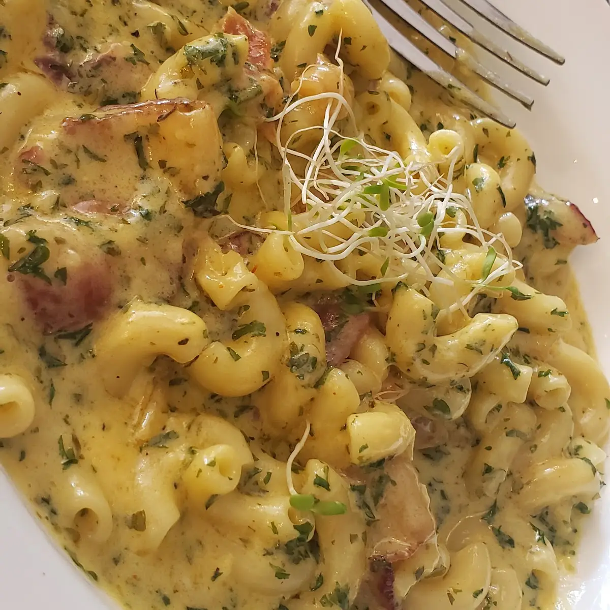 RBC Mac & Cheese