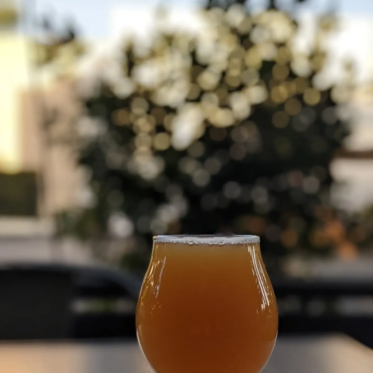 Pale Ale