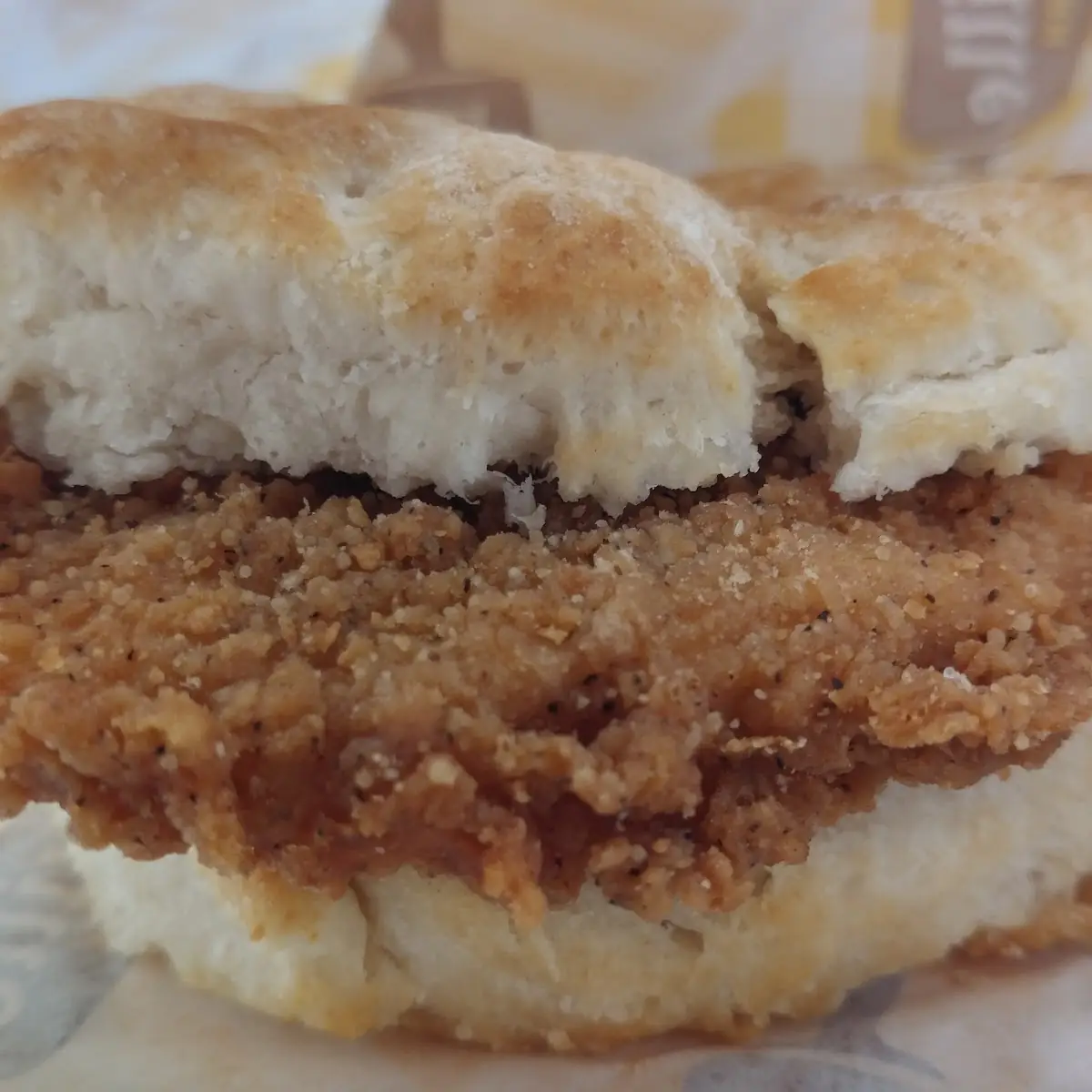 Pork Chop Biscuit