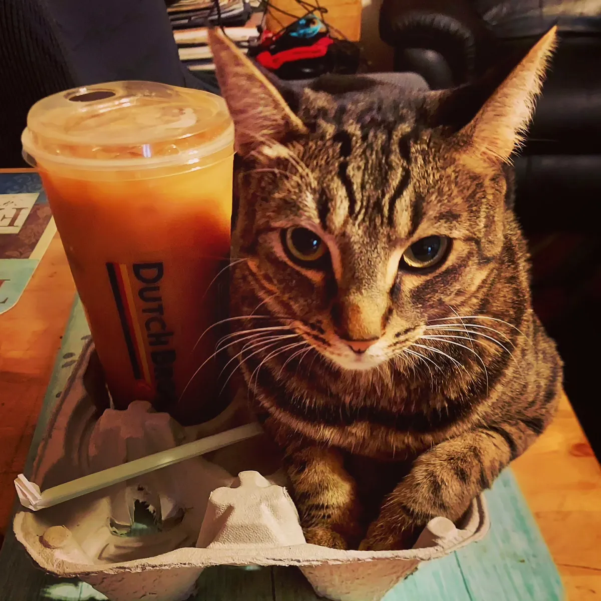 Iced Americano with Cream