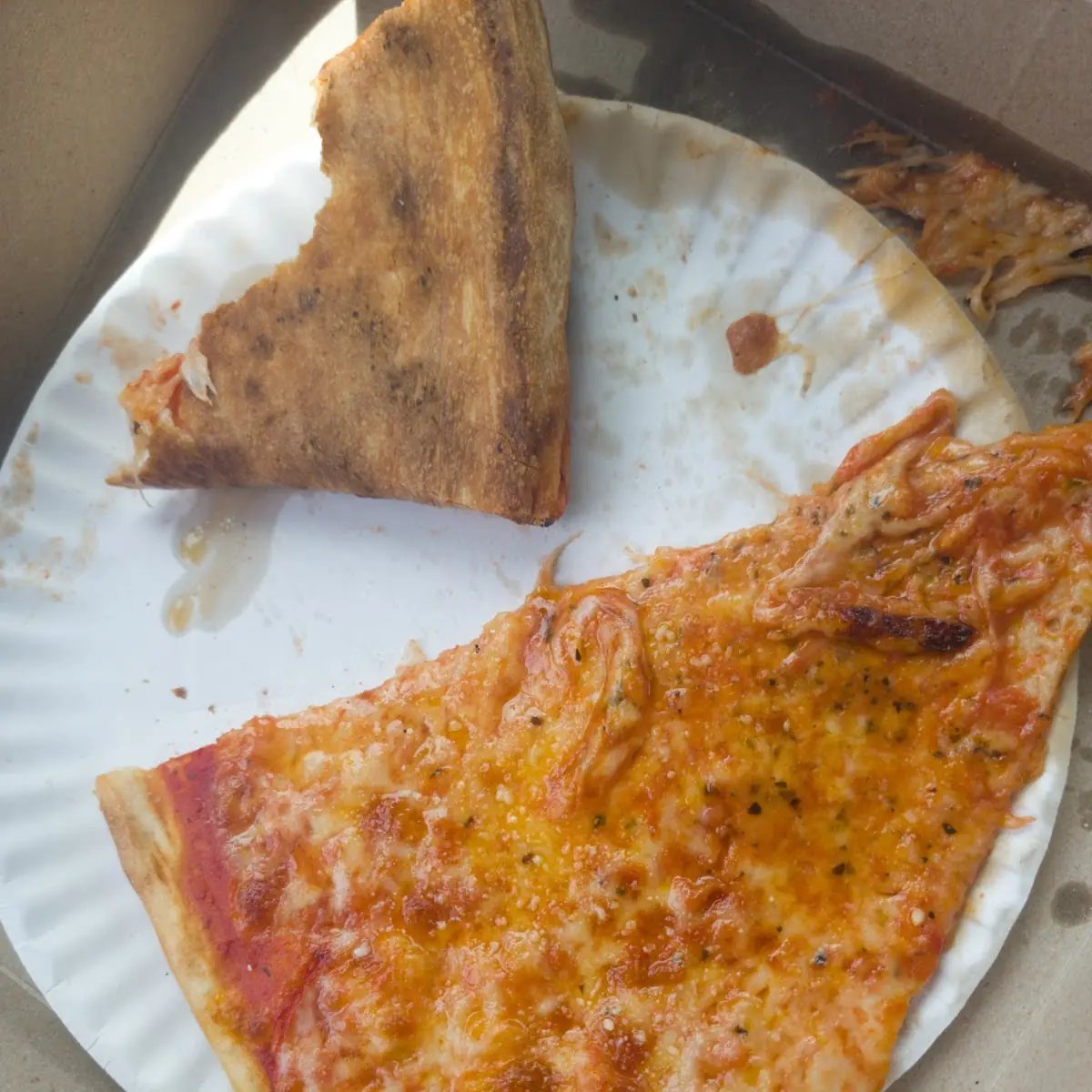 Slice of Pizza