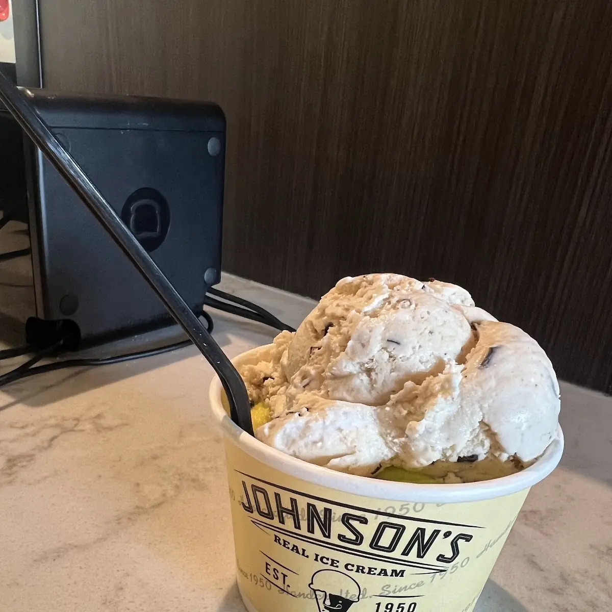 Smores Chocolate Chip Ice Cream