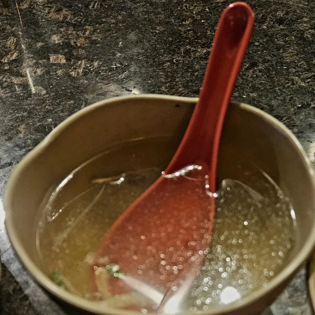 Onion Soup