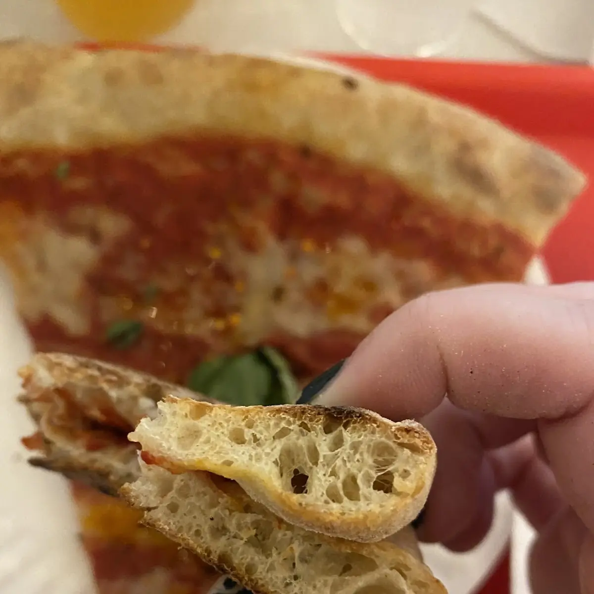 Vegan Pizza Slice
