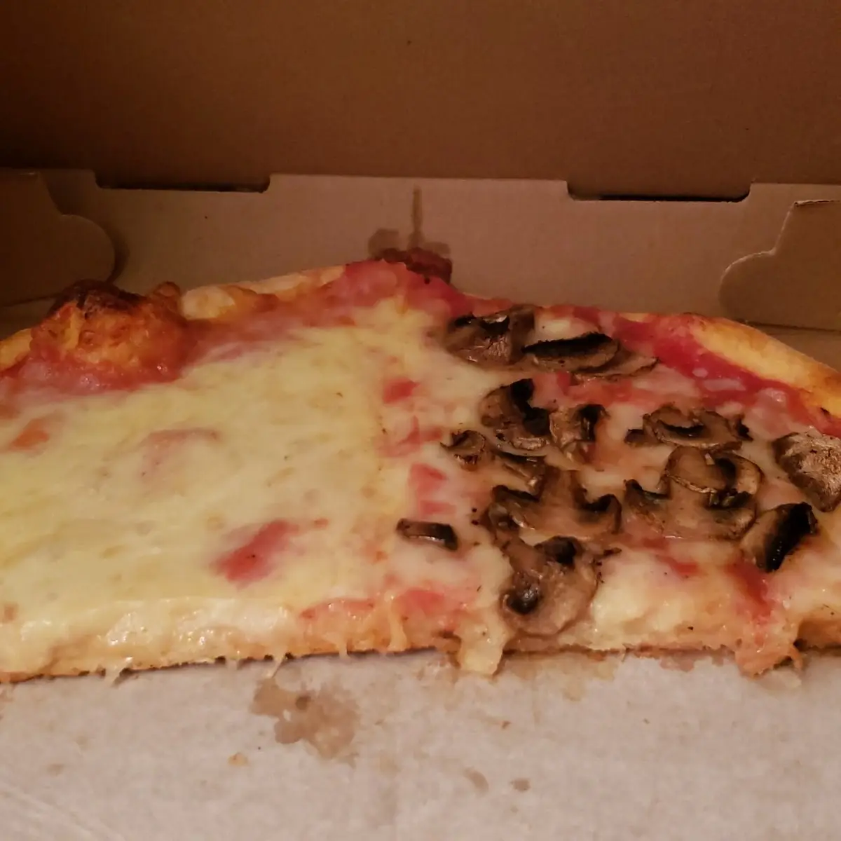 Cheese and Mushroom Pizza