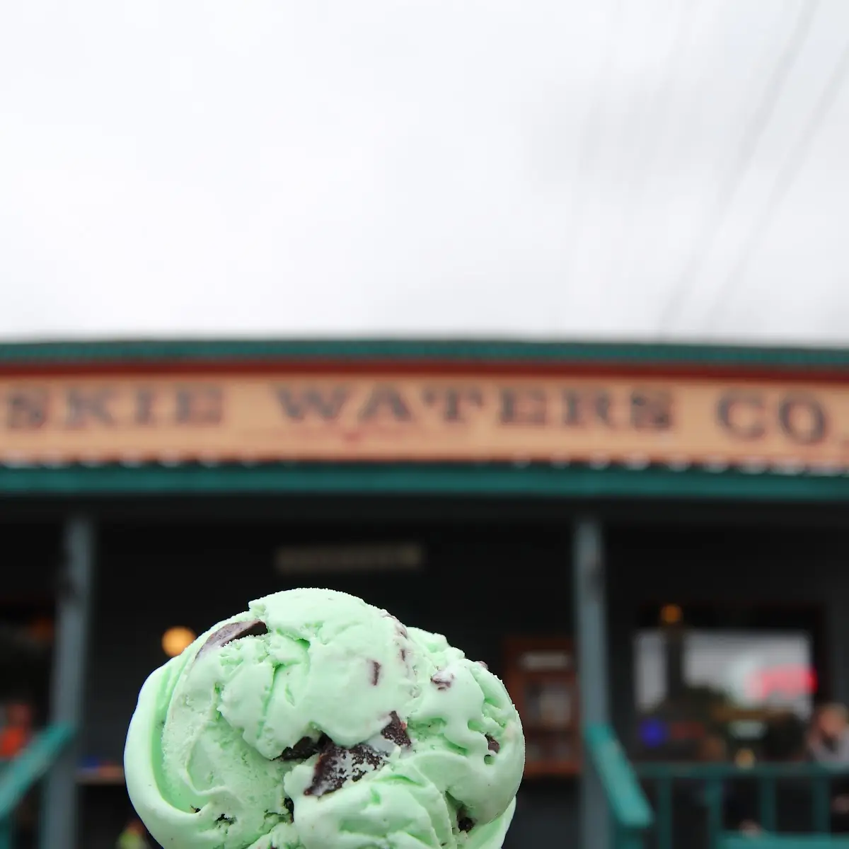 Mint Chocolate Chip Ice Cream