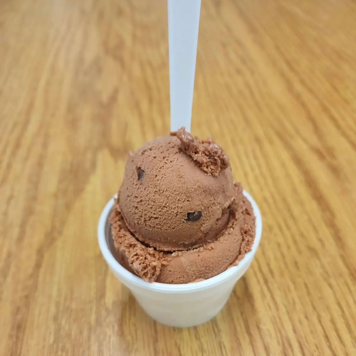Chocolate Ice Cream