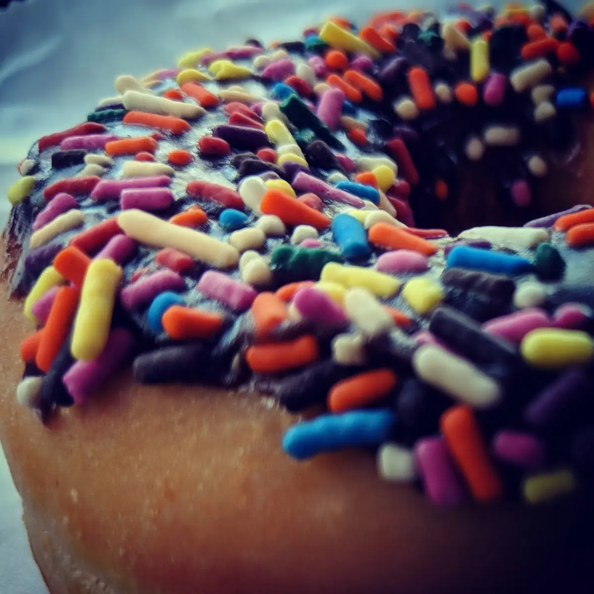 Chocolate Frosted Sprinkle Doughnut