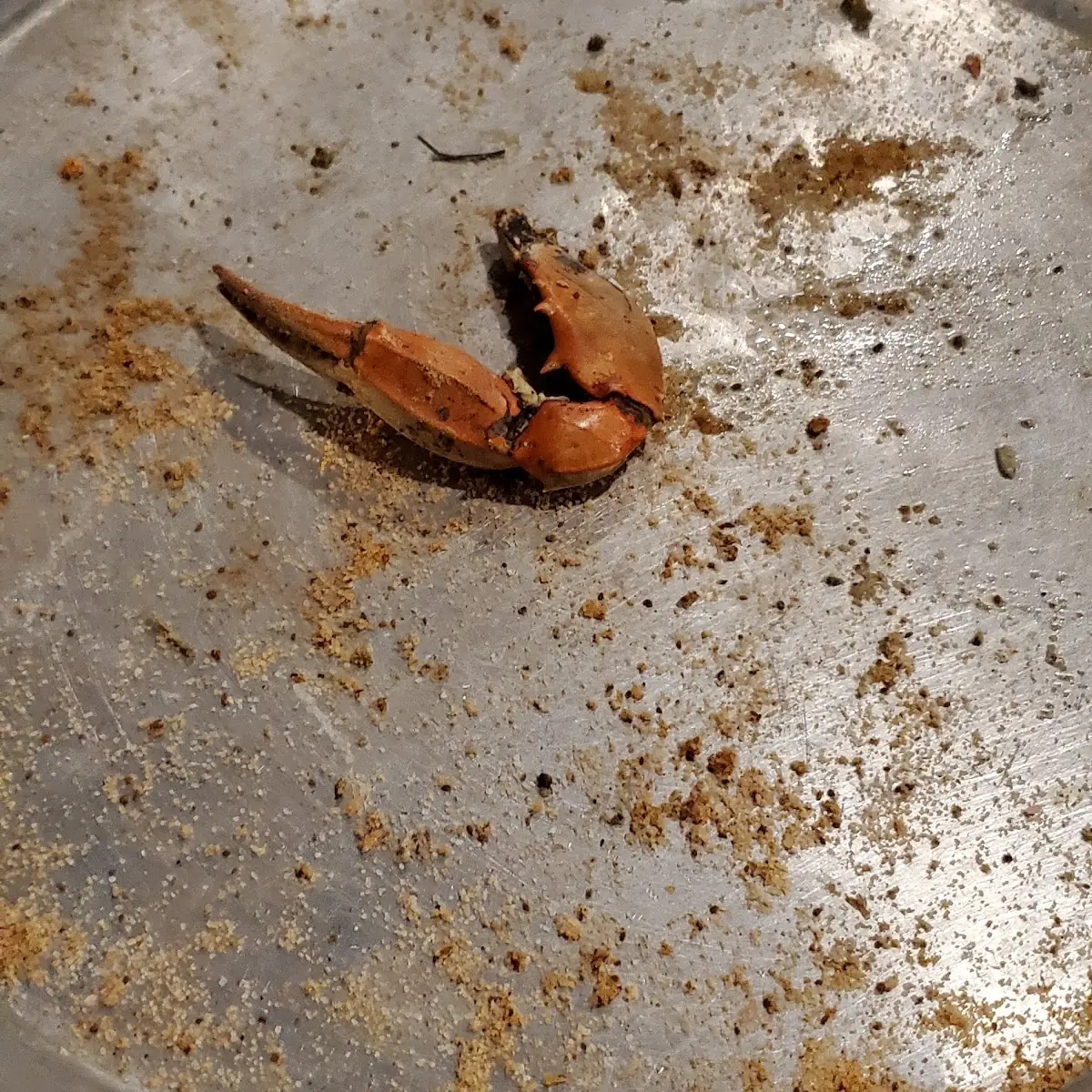 Crab Leg