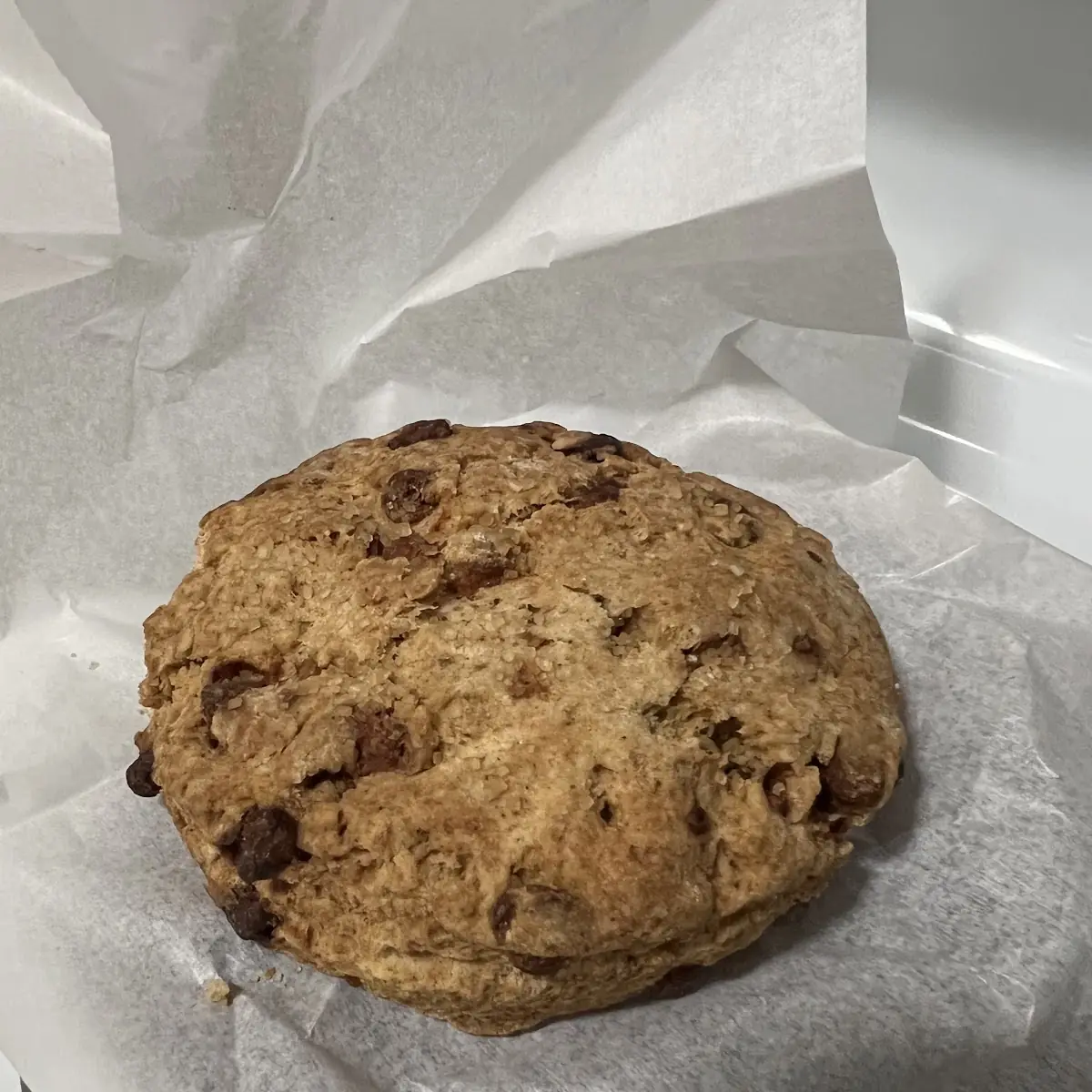 Chocolate Chip Cookie