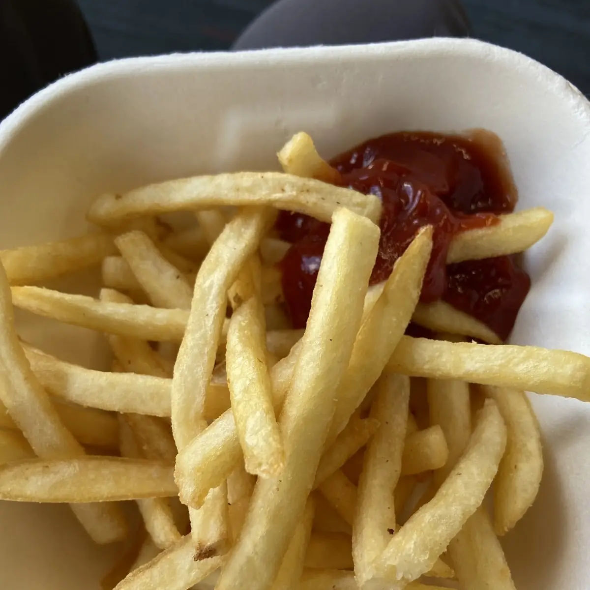 World Famous Fries