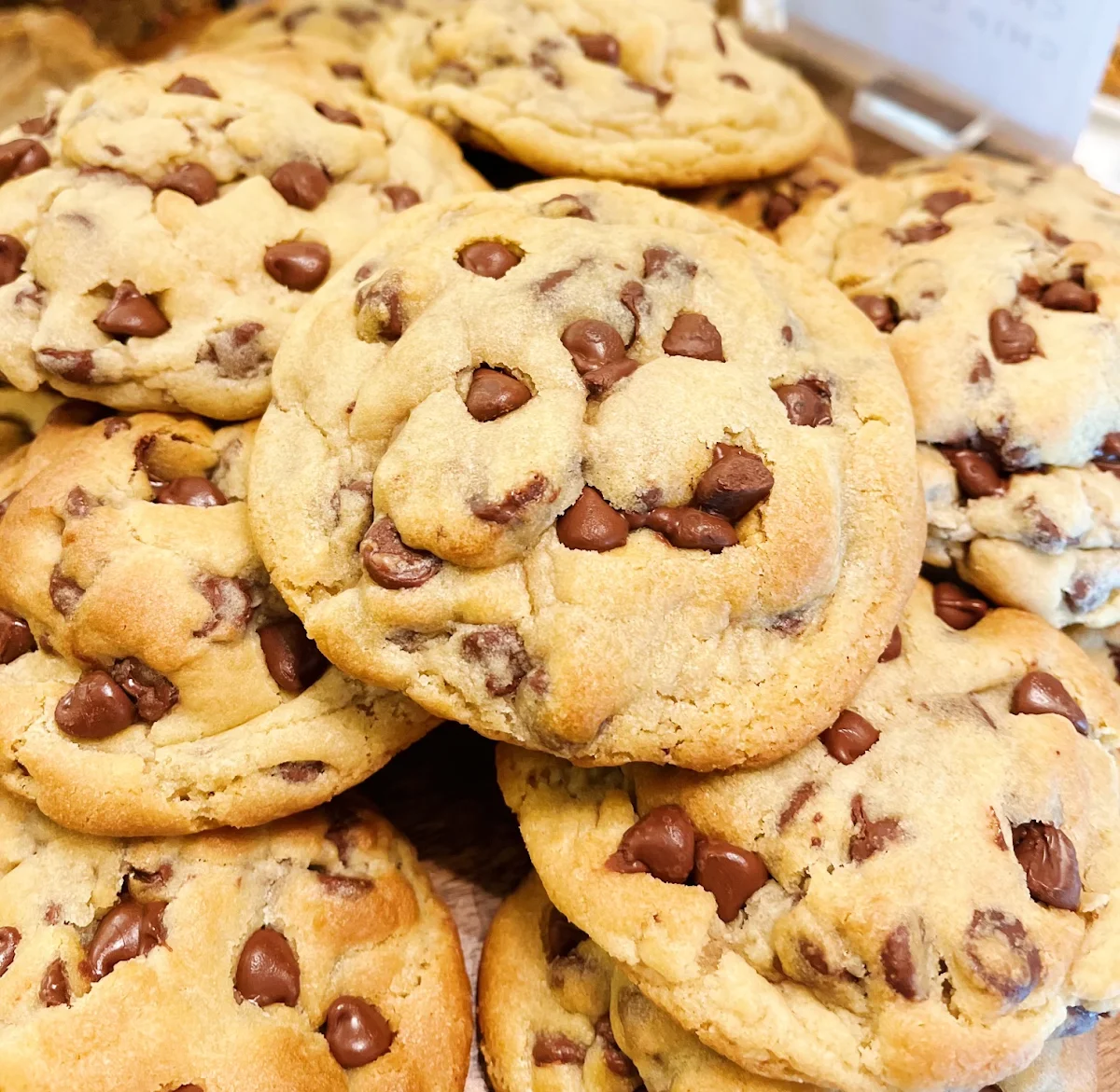 Chocolate Chip Cookie