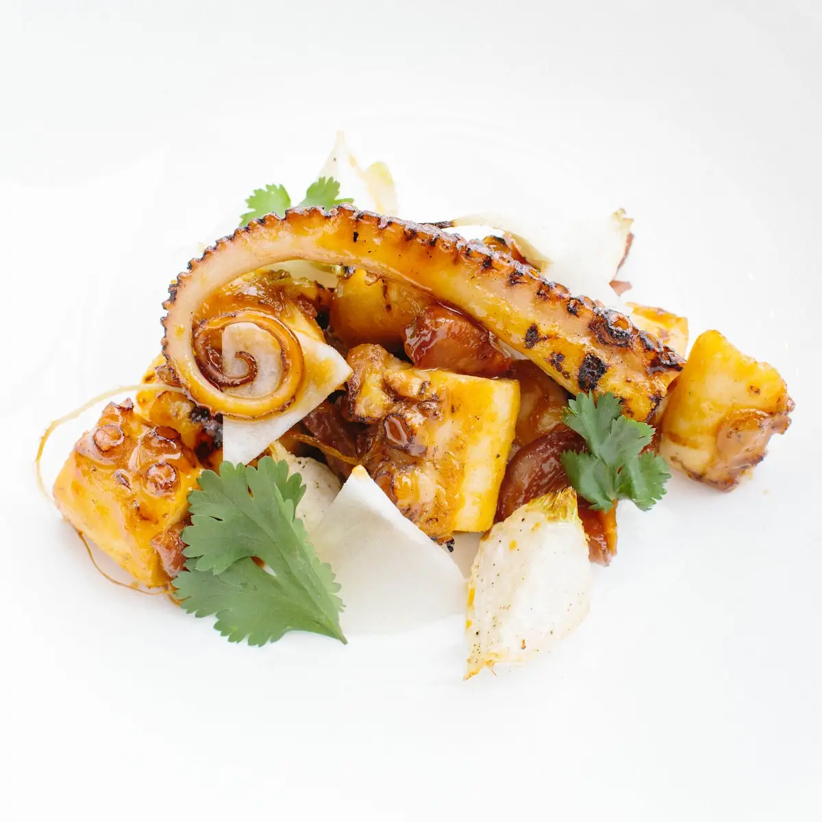 Grilled Octopus