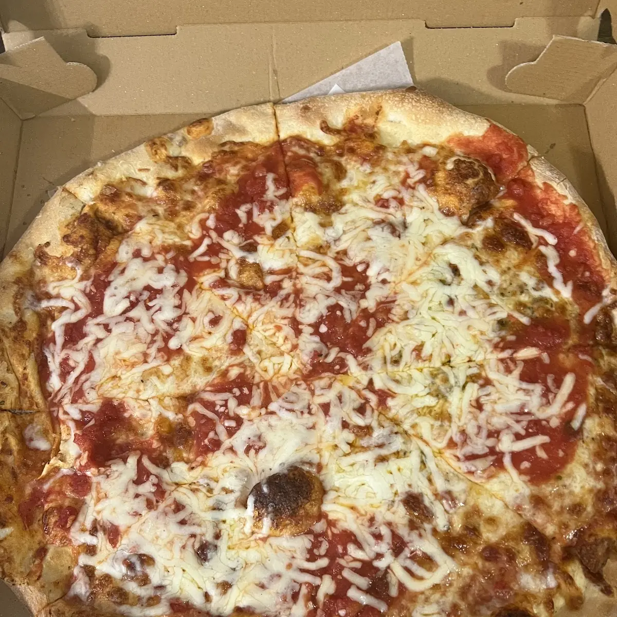 Plain Cheese Pizza with Light Sauce